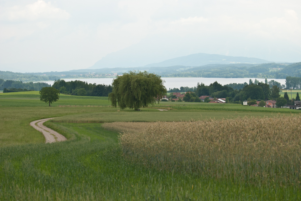 130705140713DSC_2495.jpg - Tachinger see