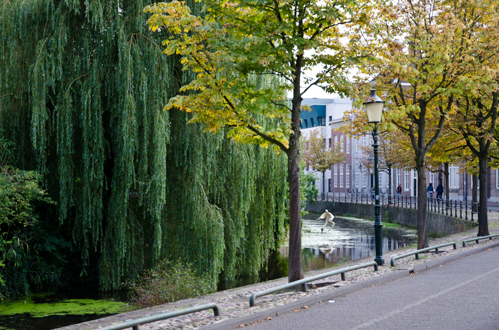 130921154025DSC_0264.jpg - Een binnen singel