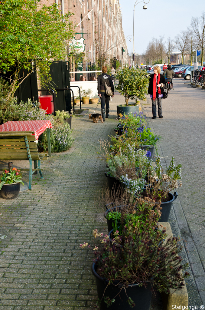 140328172502DSC_2254.jpg - Geen tuin Toch een tuin