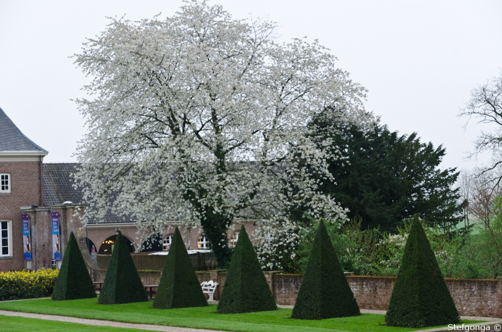 140404183714DSC_2479.jpg - Ook in Amerongen is het voorjaar ingetreden