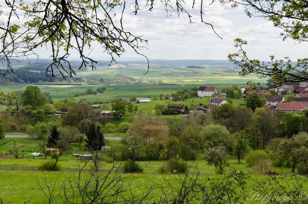 170509143421DSC_9840.jpg - Landschap