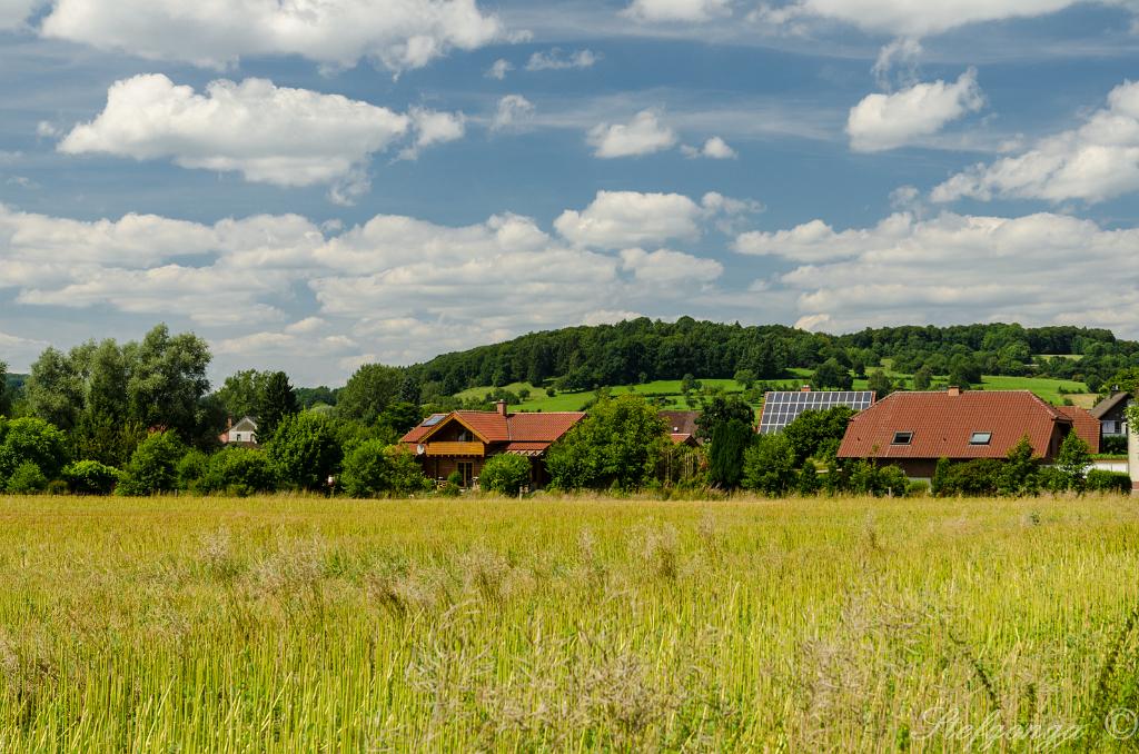 170807141539DSC_0376.jpg - Het platteland bij Alhausen tijdens een fietstocht