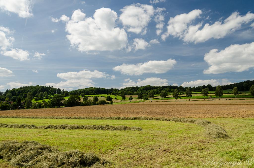 170807143545DSC_0383.jpg - Het platteland bij Alhausen tijdens een fietstocht.