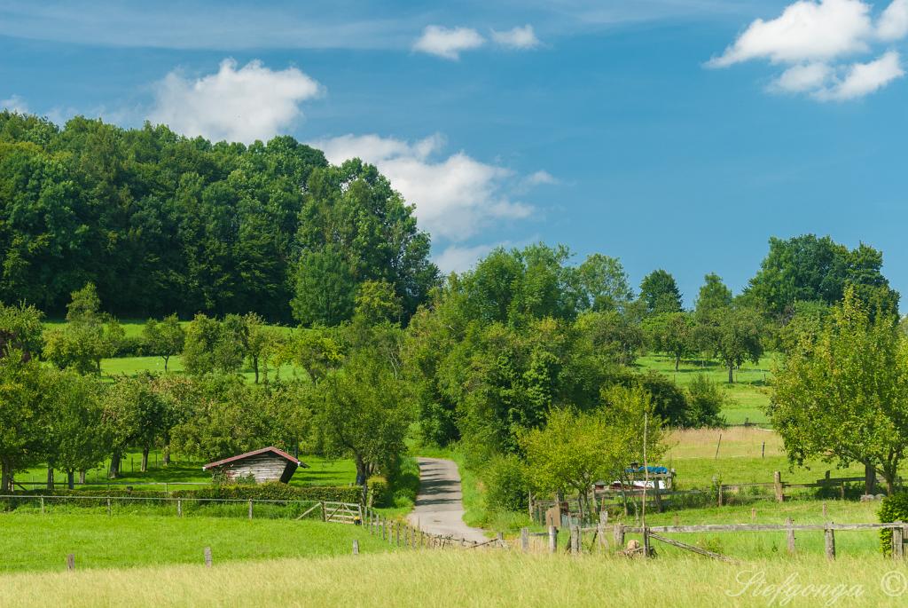 170807144644DSC_8549.jpg - Het platteland bij Alhausen tijdens een fietstocht.