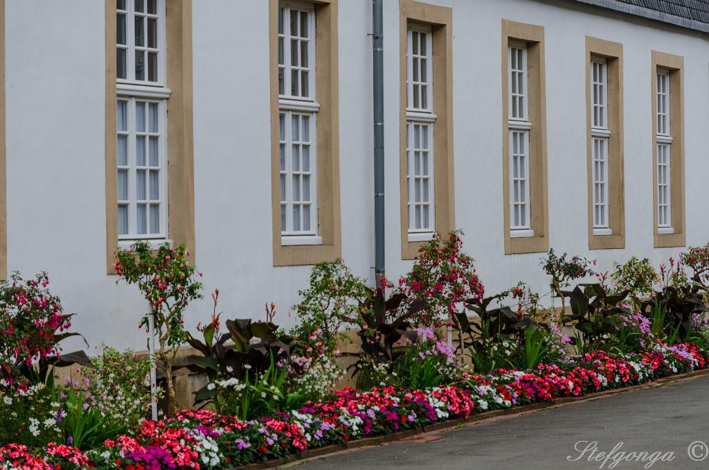 170809102357DSC_0478.jpg - Bad Driburg Grafliches Park