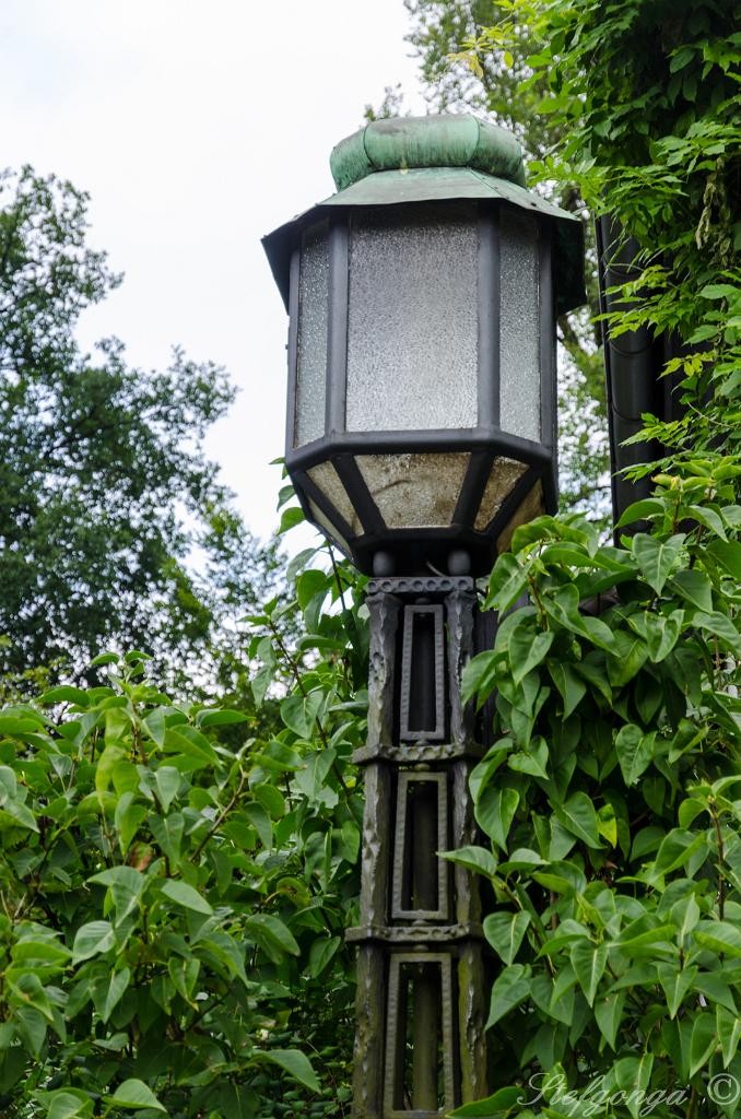 170809102826DSC_0497.jpg - Bad Driburg Grafliches Park