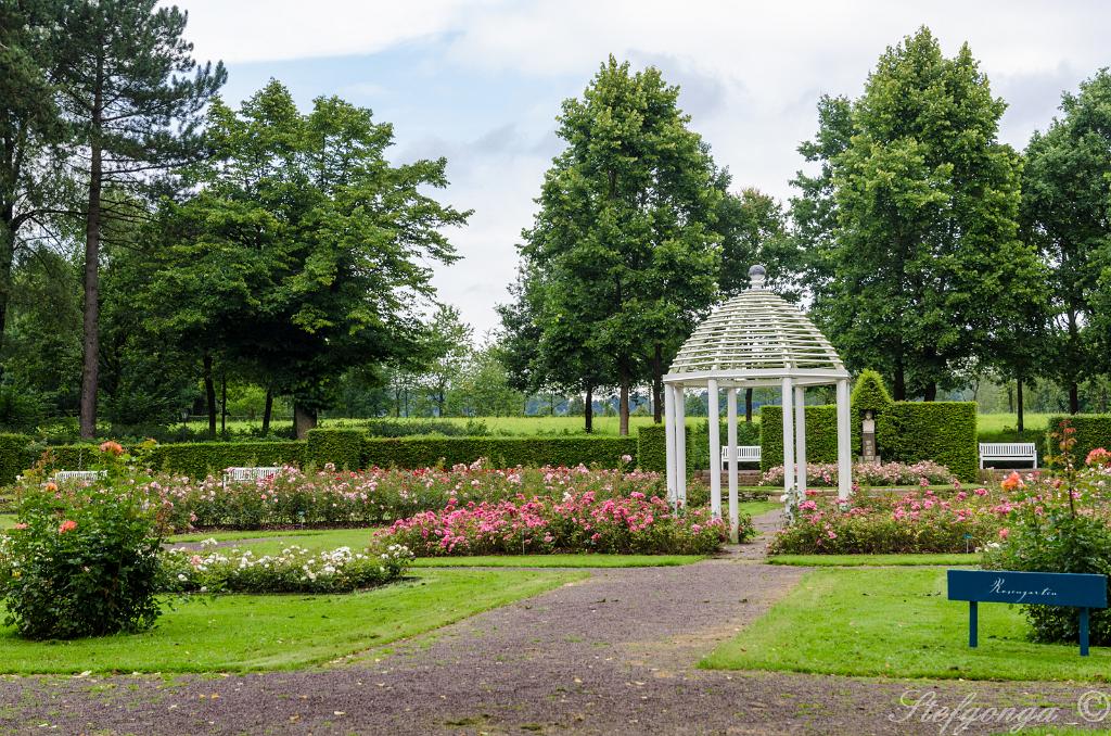 170809103309DSC_0510.jpg - Bad Driburg Grafliches Park