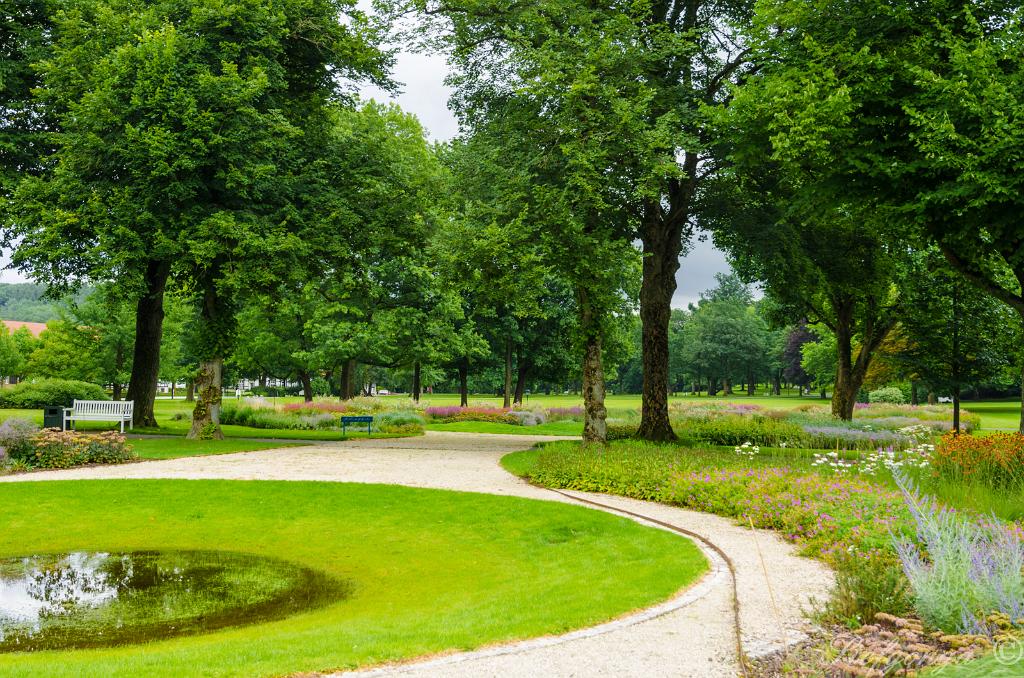 170809105546DSC_0531.jpg - Bad Driburg Grafliches Park