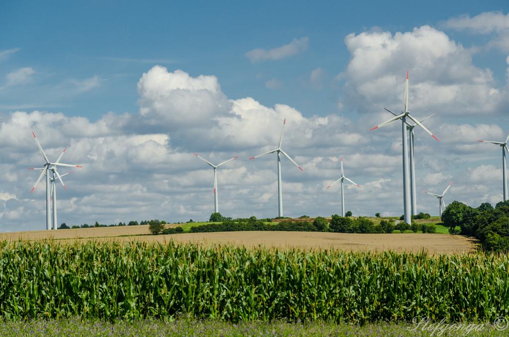 170809141656DSC_0598.jpg - Windmolens bij Bosseborn