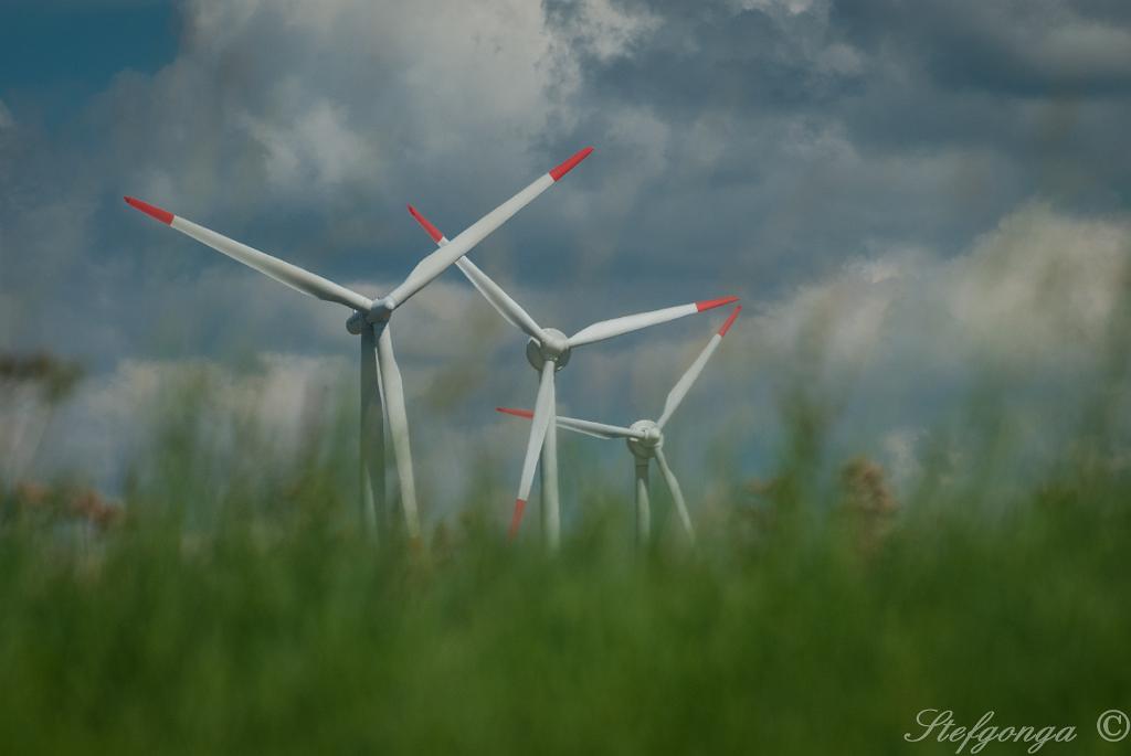 170809142309DSC_8599.jpg - Windmolens bij Bosseborn