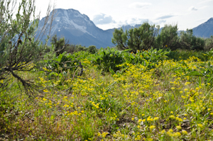 Teton Natl Park