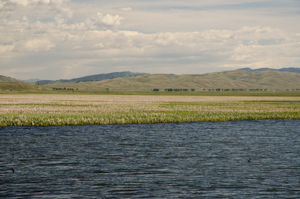 Teton Natl Park