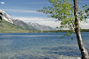 Grand Teton Natl Park