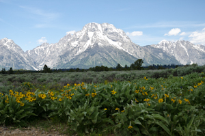 Grand Teton Natl Park