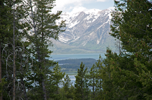 Grand Teton Natl Park