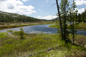 Yellowstone