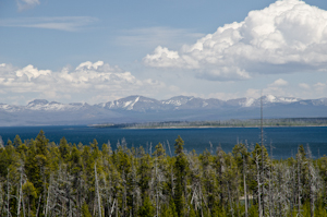 Yellowstone