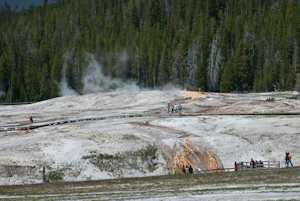 Yellowstone