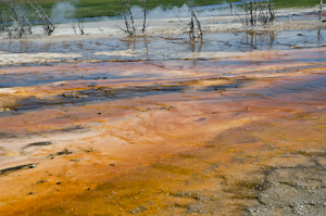 Yellowstone