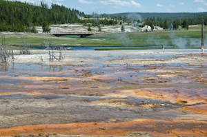 Yellowstone