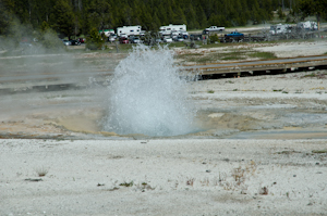 Yellowstone