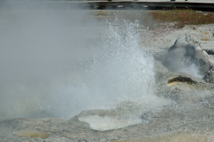 Yellowstone