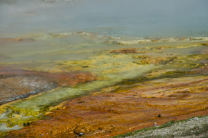 Yellowstone