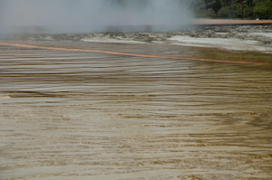 Yellowstone