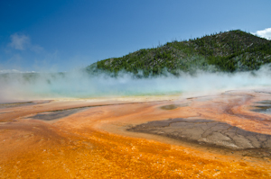 Yellowstone