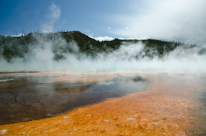 Yellowstone