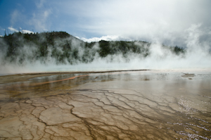 Yellowstone