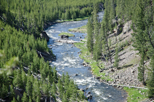 Yellowstone National Park