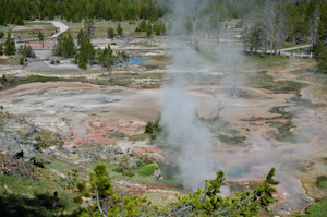 Yellowstone National Park