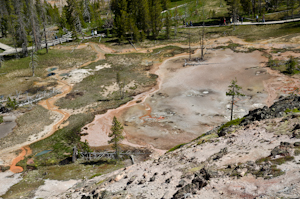 Yellowstone National Park