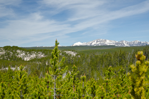 Yellowstone national park