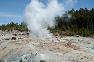 Yellowstone national park