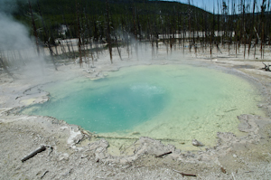 Yellowstone national park