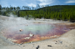 Yellowstone national park