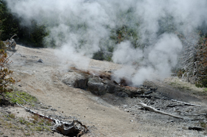 Yellowstone national park