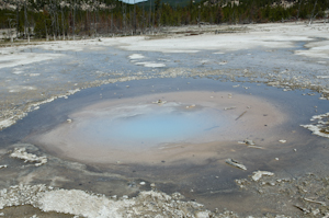 Yellowstone national park