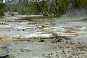 Yellowstone national park