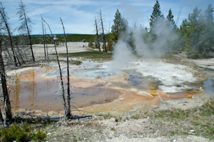 Yellowstone national park