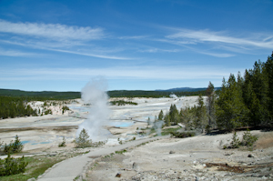 Yellowstone national park