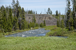 Yellowstone national park