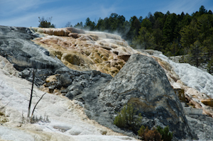 Yellowstone National Park