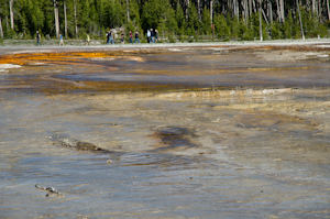 Yellowstone National Park