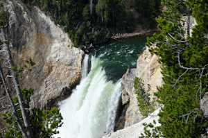 Yellowstone