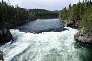 Yellowstone