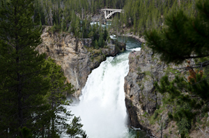 Yellowstone