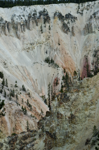 Yellowstone